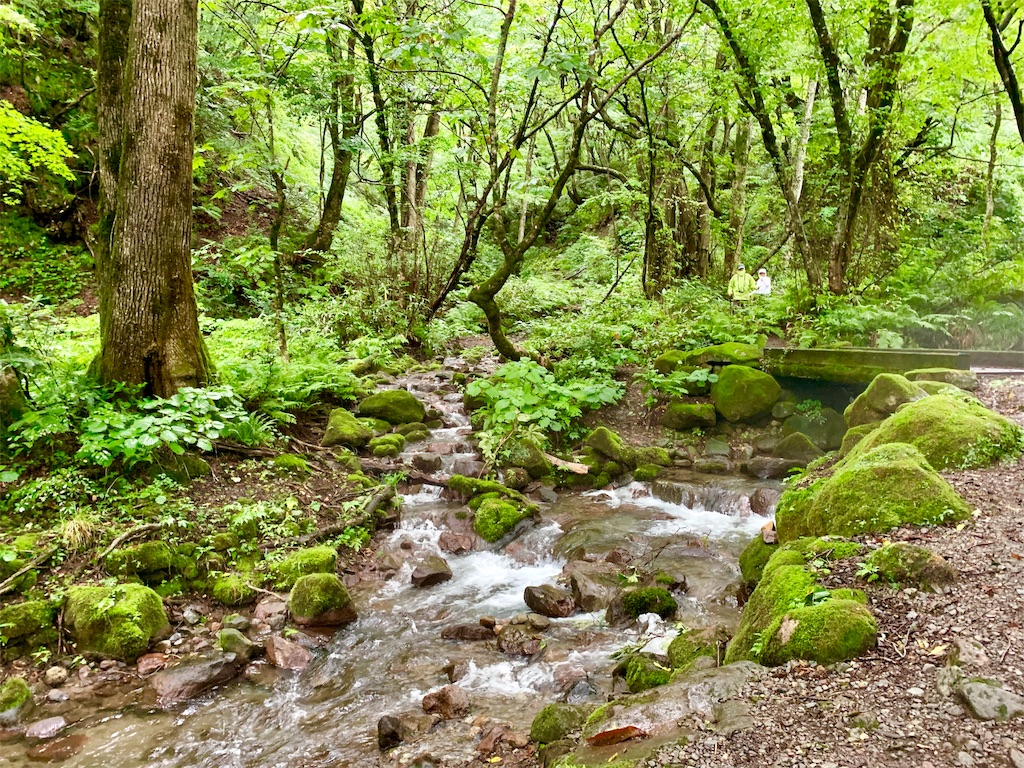 f:id:tuberculin:20190820204256j:image