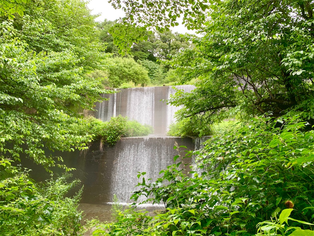 f:id:tuberculin:20190820204312j:image