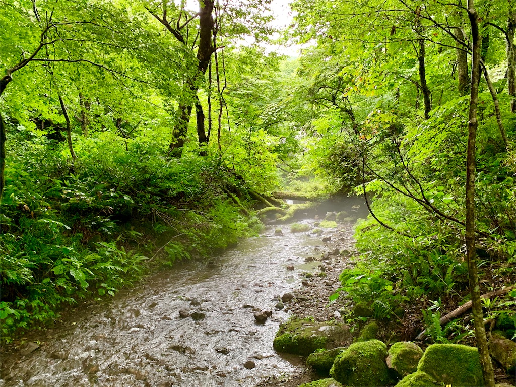 f:id:tuberculin:20190820204326j:image