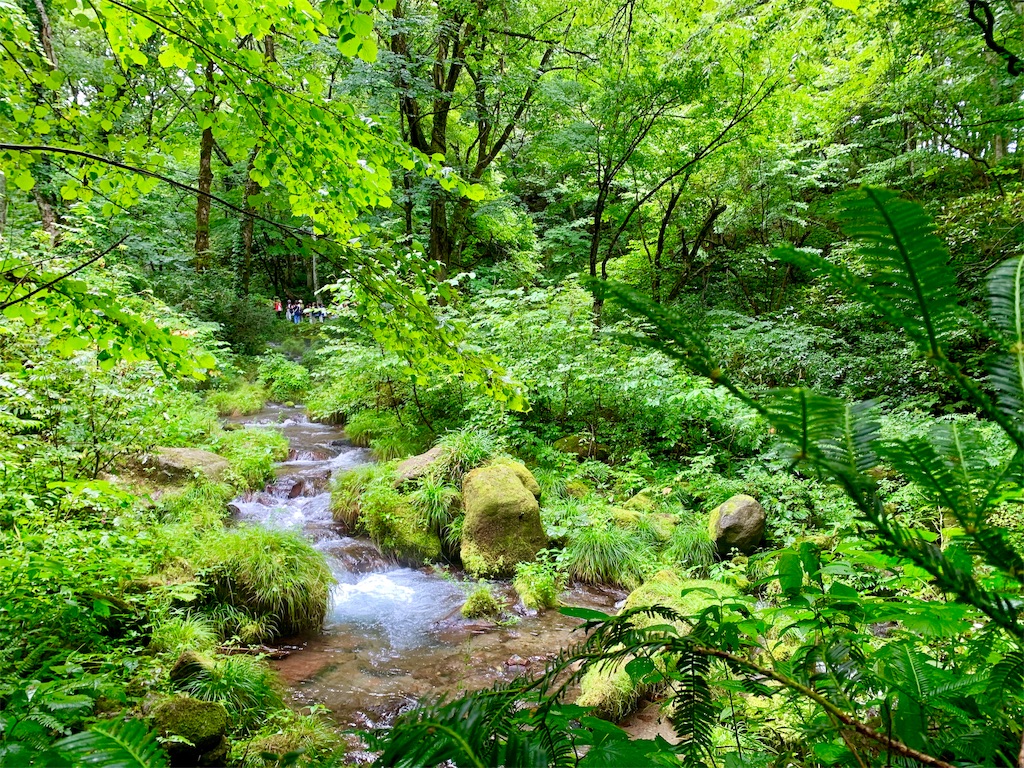 f:id:tuberculin:20190820204426j:image