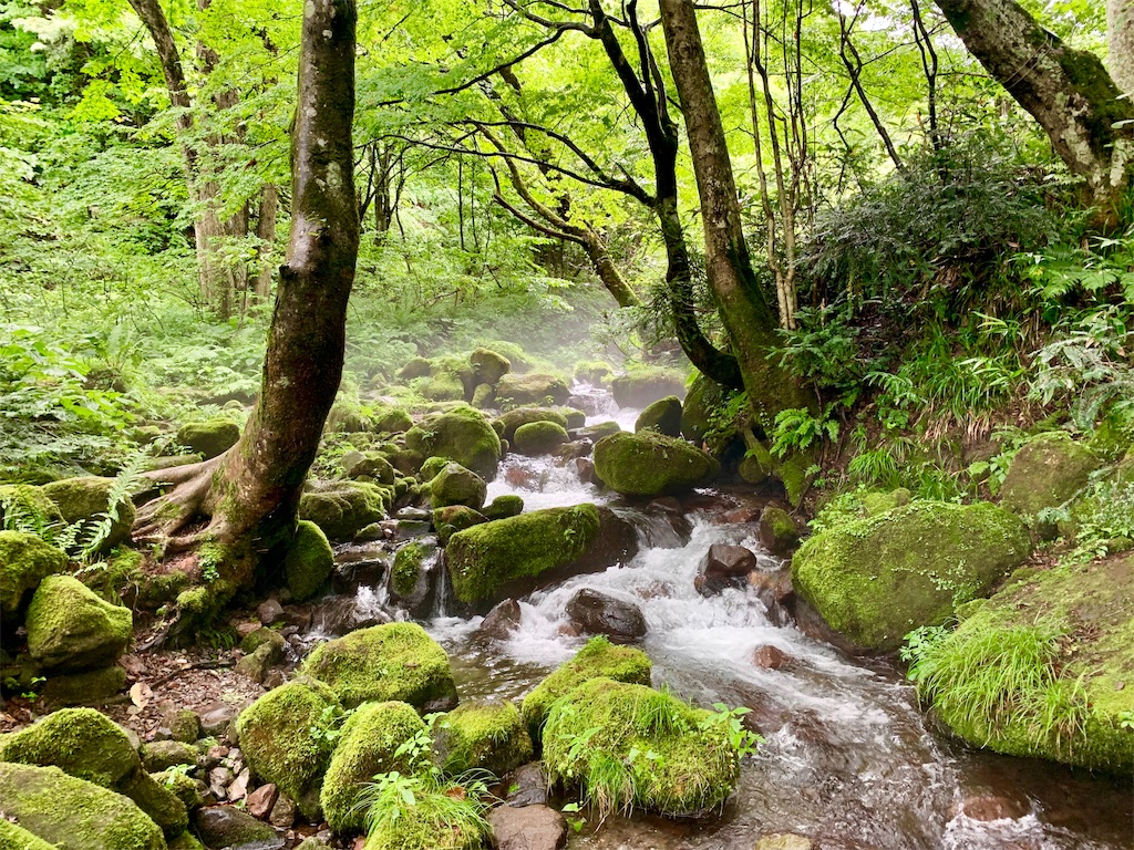 f:id:tuberculin:20190820204431j:image