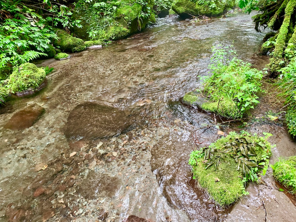 f:id:tuberculin:20190820204435j:image