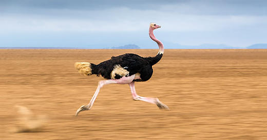 f:id:tuberculin:20191003211222p:plain f:id:tuberculin:20191003211222p:plain