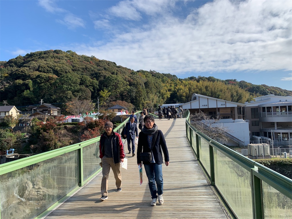 f:id:tuberculin:20191123221542j:image