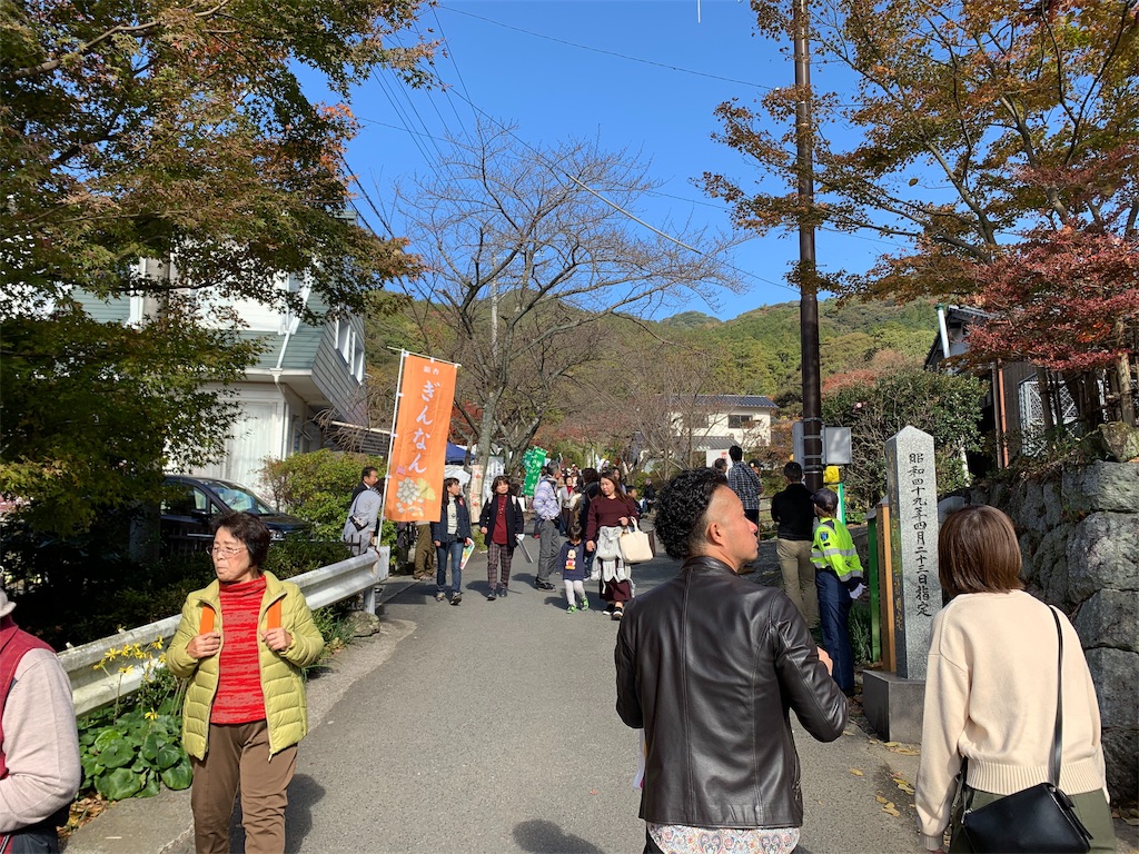 f:id:tuberculin:20191123221726j:image