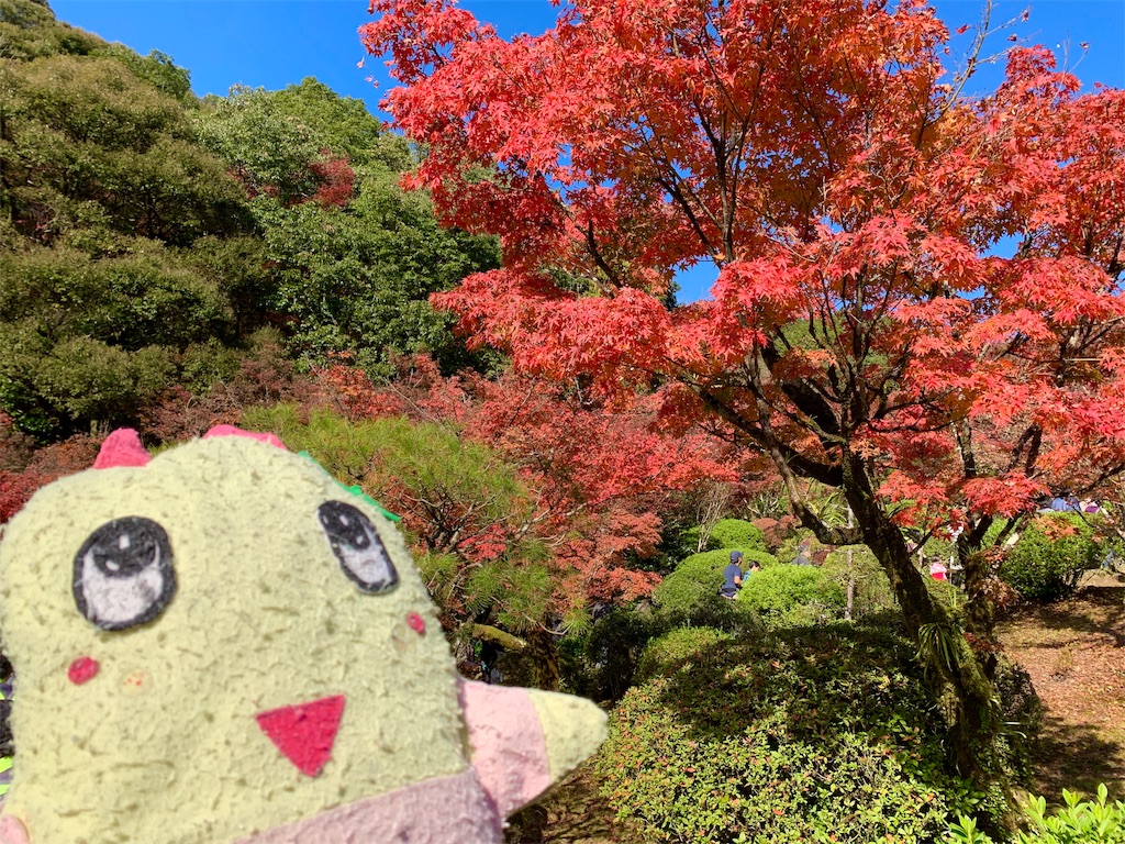 f:id:tuberculin:20191123221749j:image