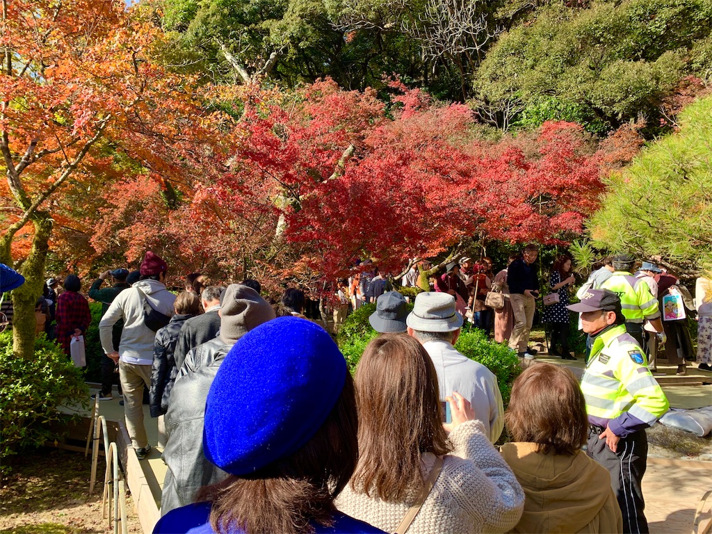 f:id:tuberculin:20191123221834j:image