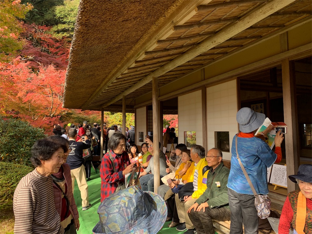 f:id:tuberculin:20191123221851j:image