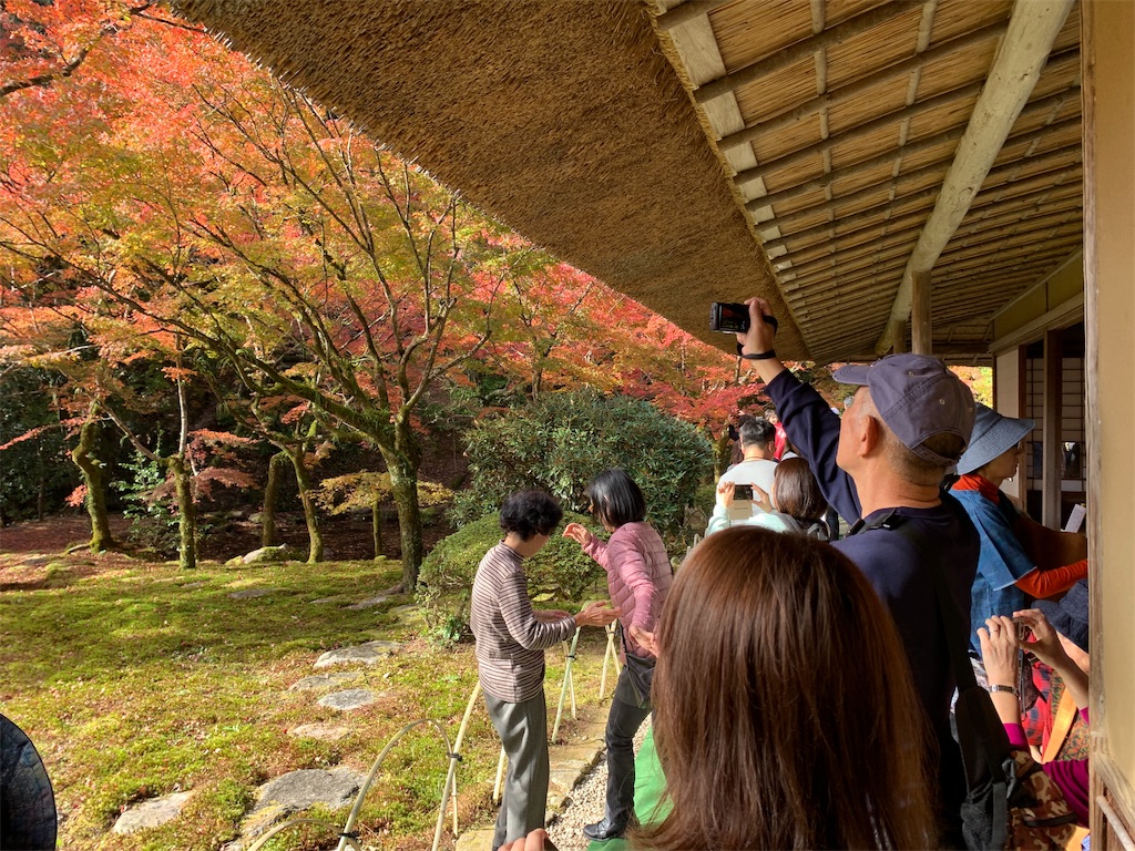 f:id:tuberculin:20191123221854j:image