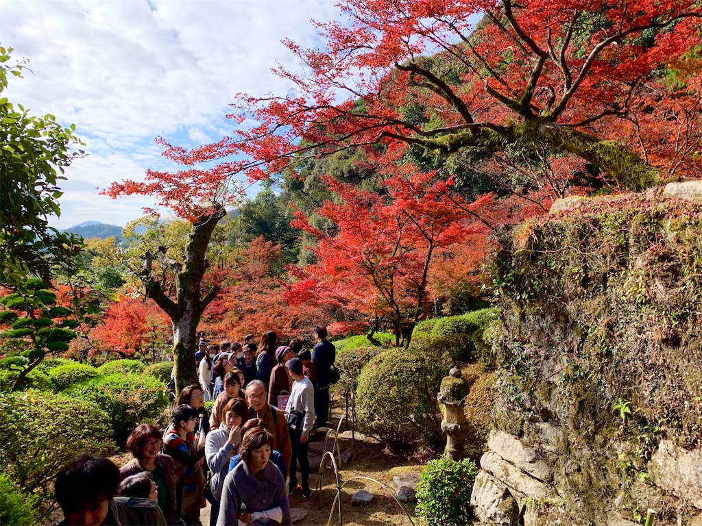 f:id:tuberculin:20191123221859j:image