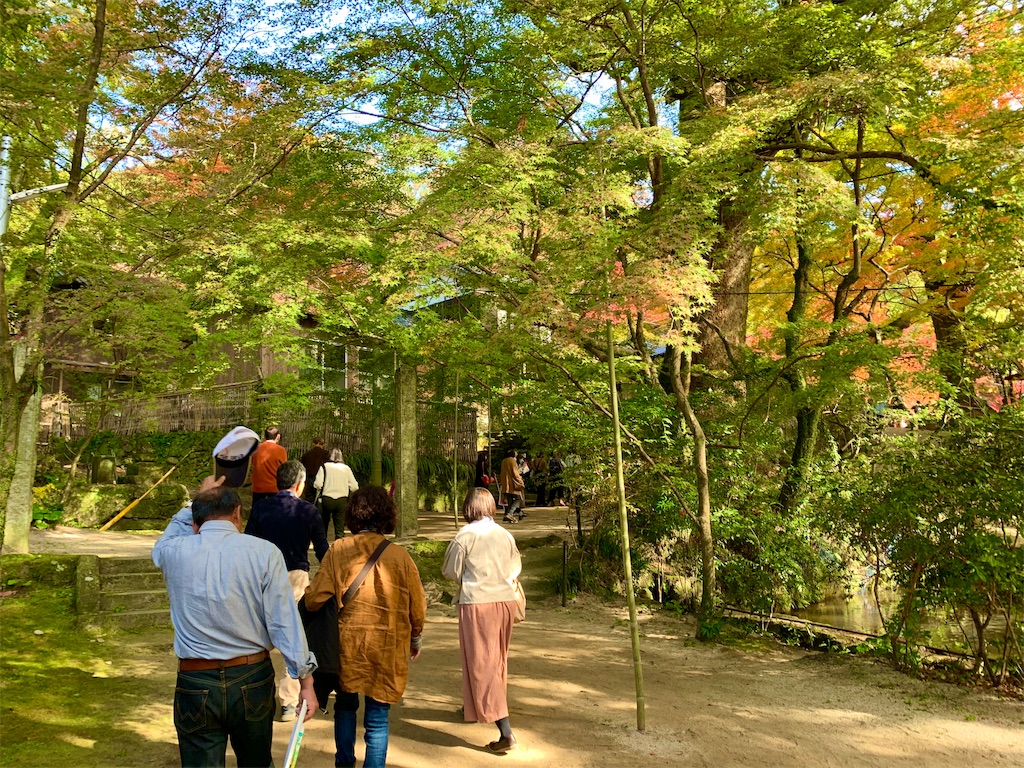 f:id:tuberculin:20191123221951j:image