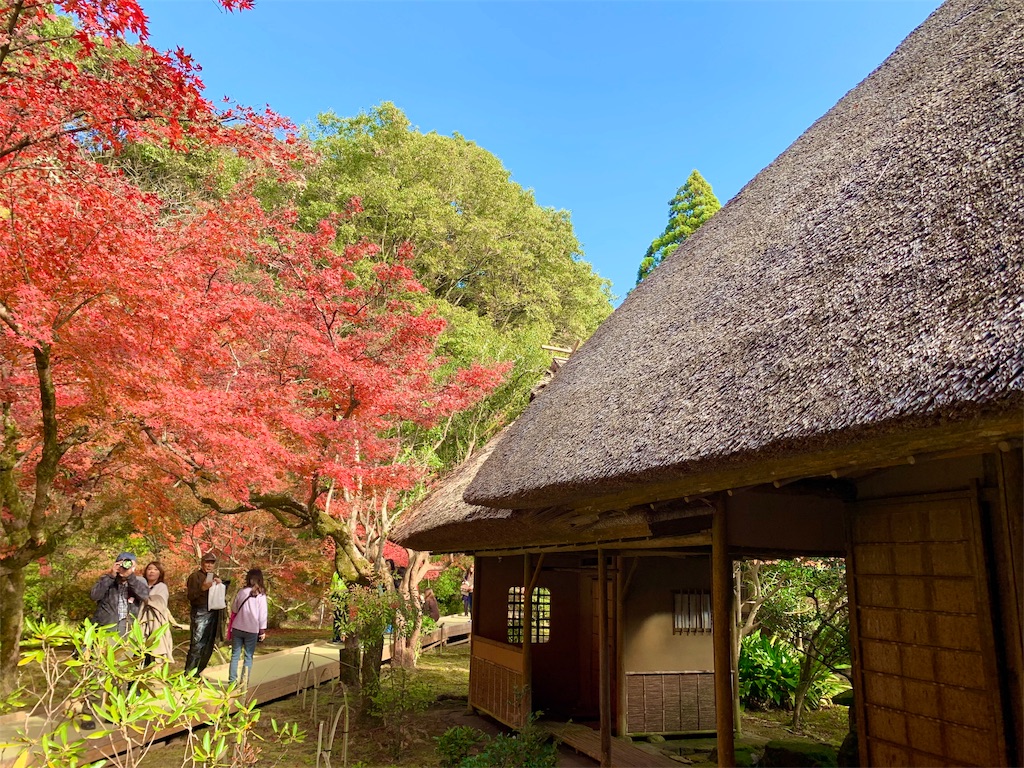 f:id:tuberculin:20191123222011j:image