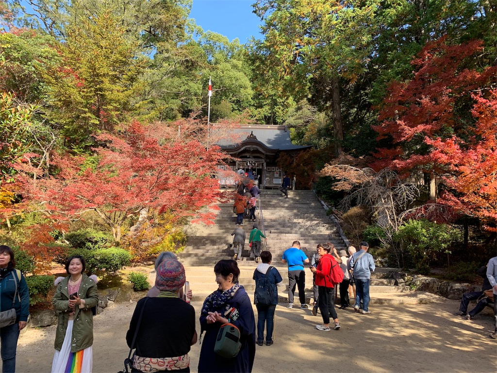 f:id:tuberculin:20191123222014j:image