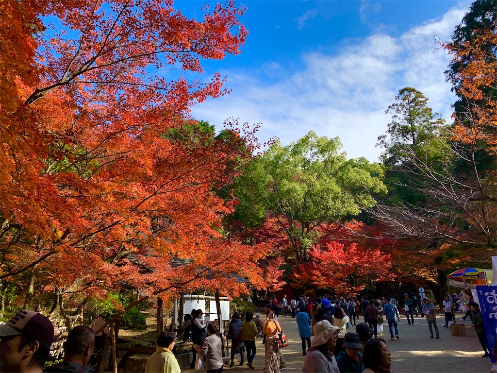 f:id:tuberculin:20191123222017j:image