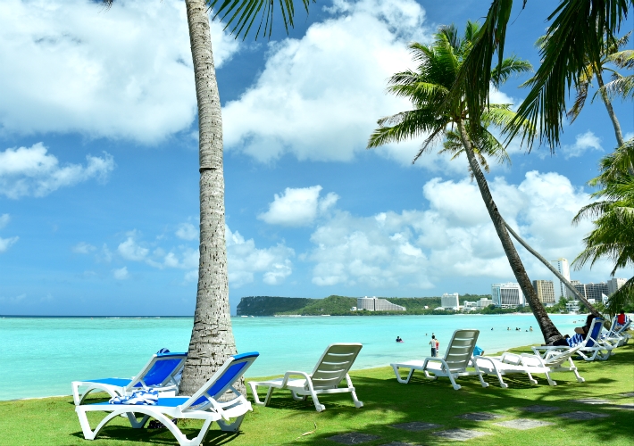 f:id:tuberculin:20191203221239j:plain