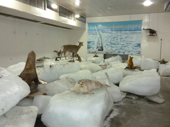 f:id:tuberculin:20191209222600j:plain