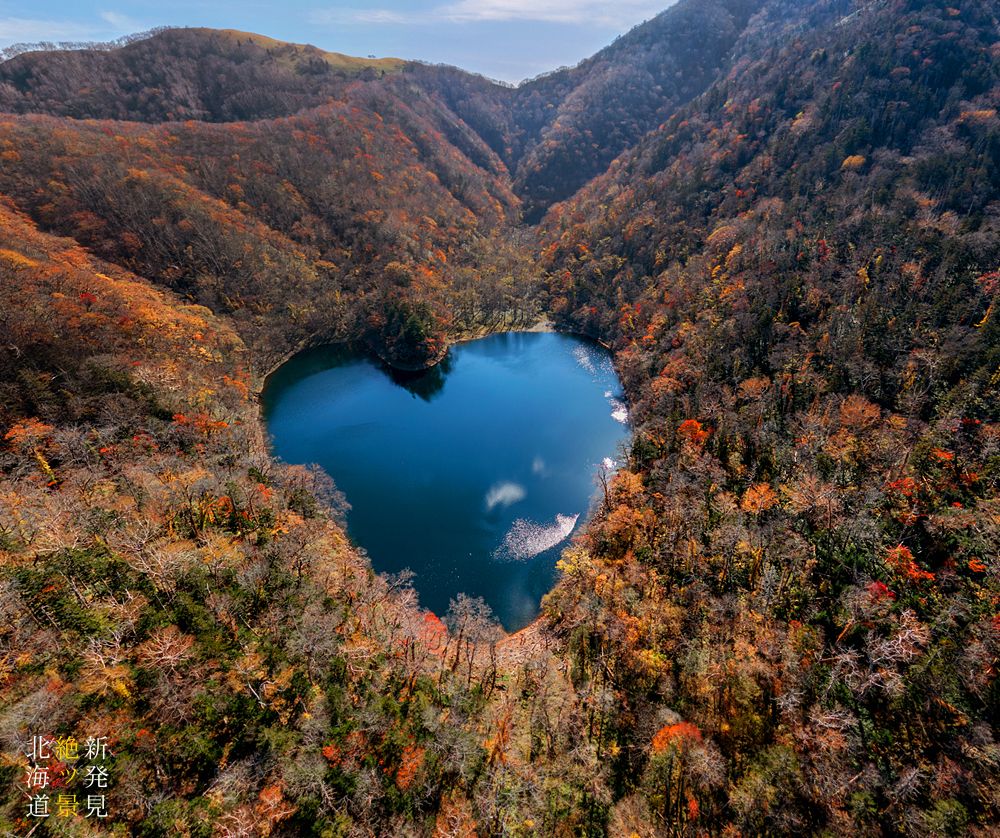 f:id:tuberculin:20191210211541j:plain