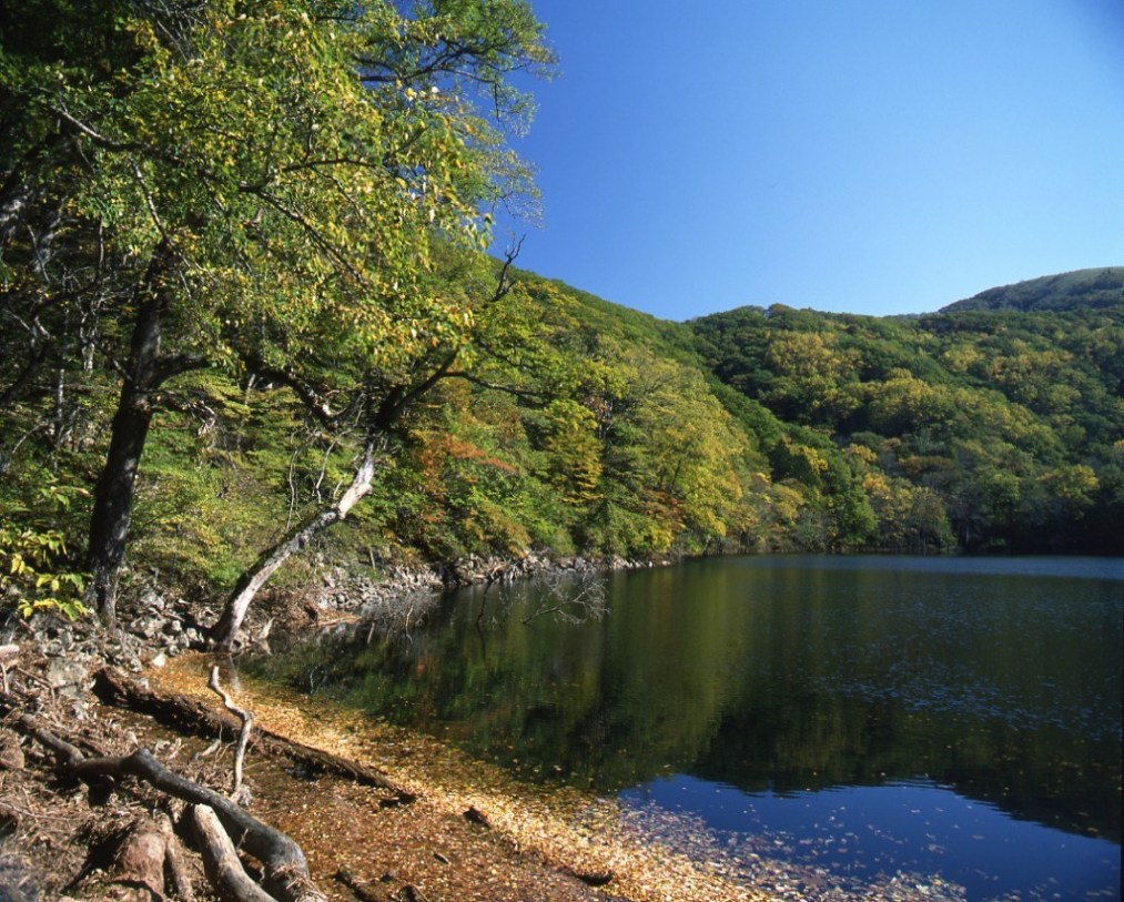 f:id:tuberculin:20191210212032j:plain