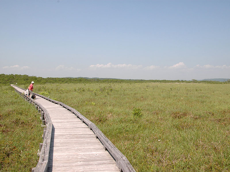 f:id:tuberculin:20191210212817j:plain