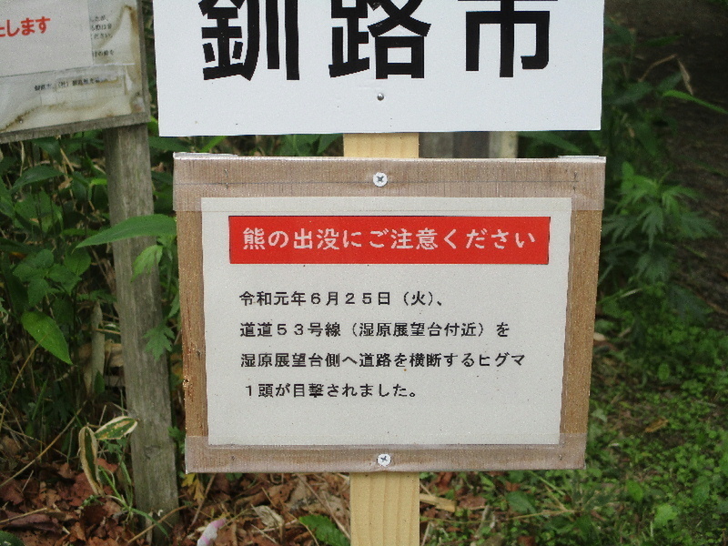 f:id:tuberculin:20191210213602j:plain