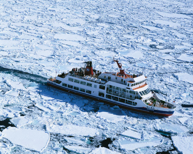 f:id:tuberculin:20191210214418j:plain