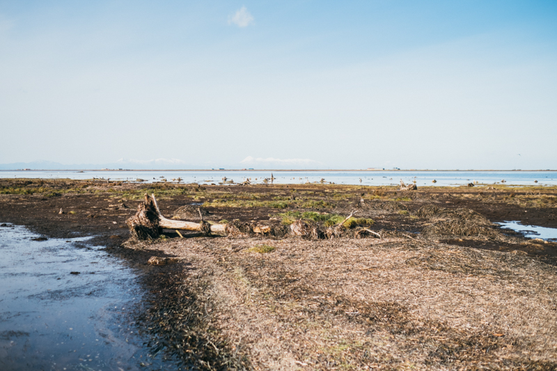 f:id:tuberculin:20191212222325j:plain