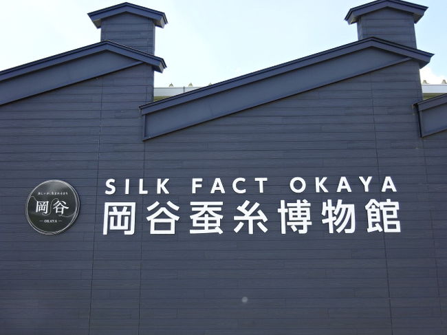 f:id:tuberculin:20200214111501j:plain