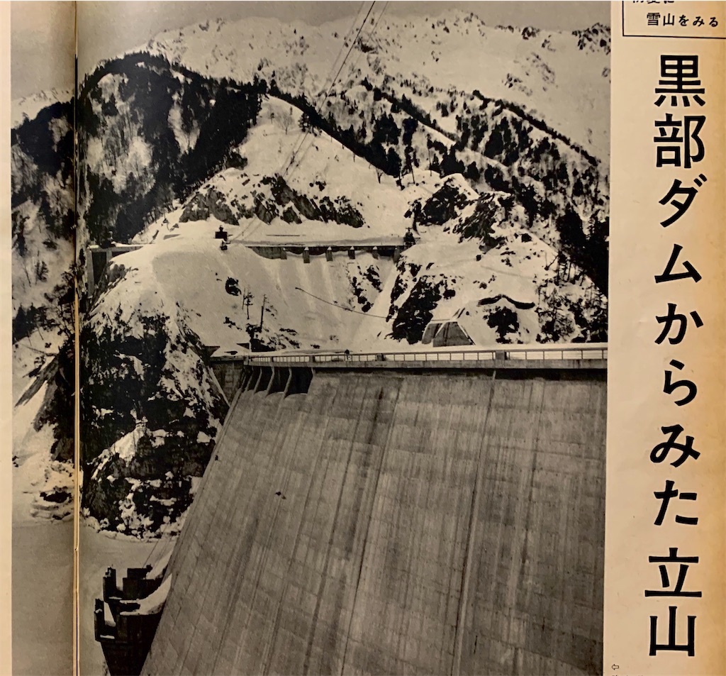 f:id:tuberculin:20200308215212j:image