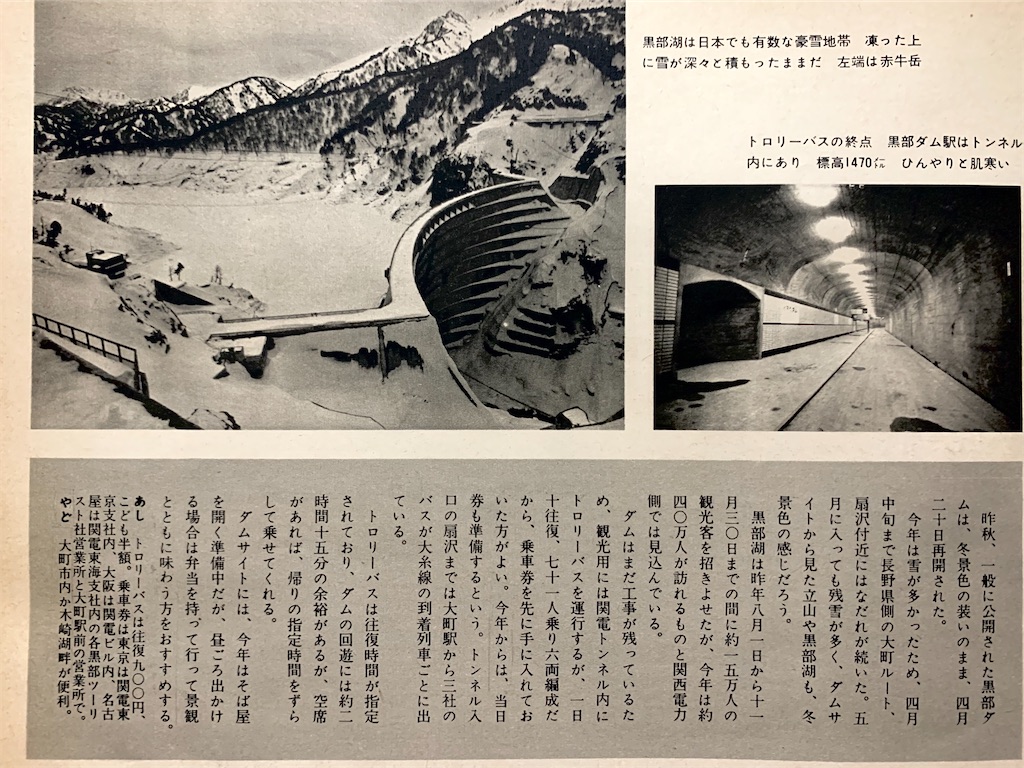 f:id:tuberculin:20200308215223j:image