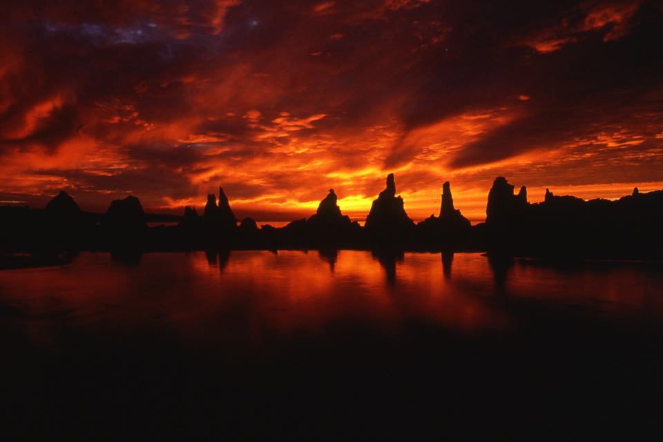 f:id:tuberculin:20200309220215j:plain