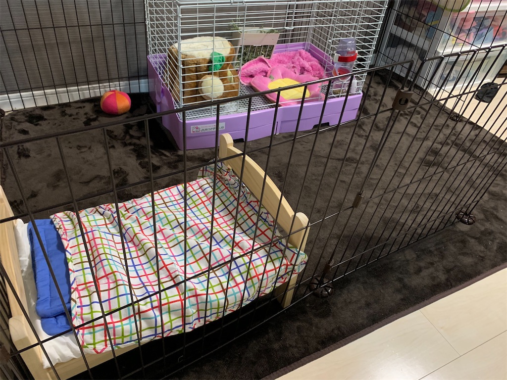 f:id:tuberculin:20200330013451j:image