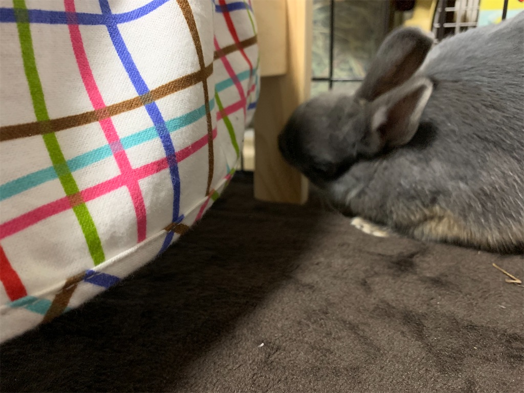 f:id:tuberculin:20200330013600j:image