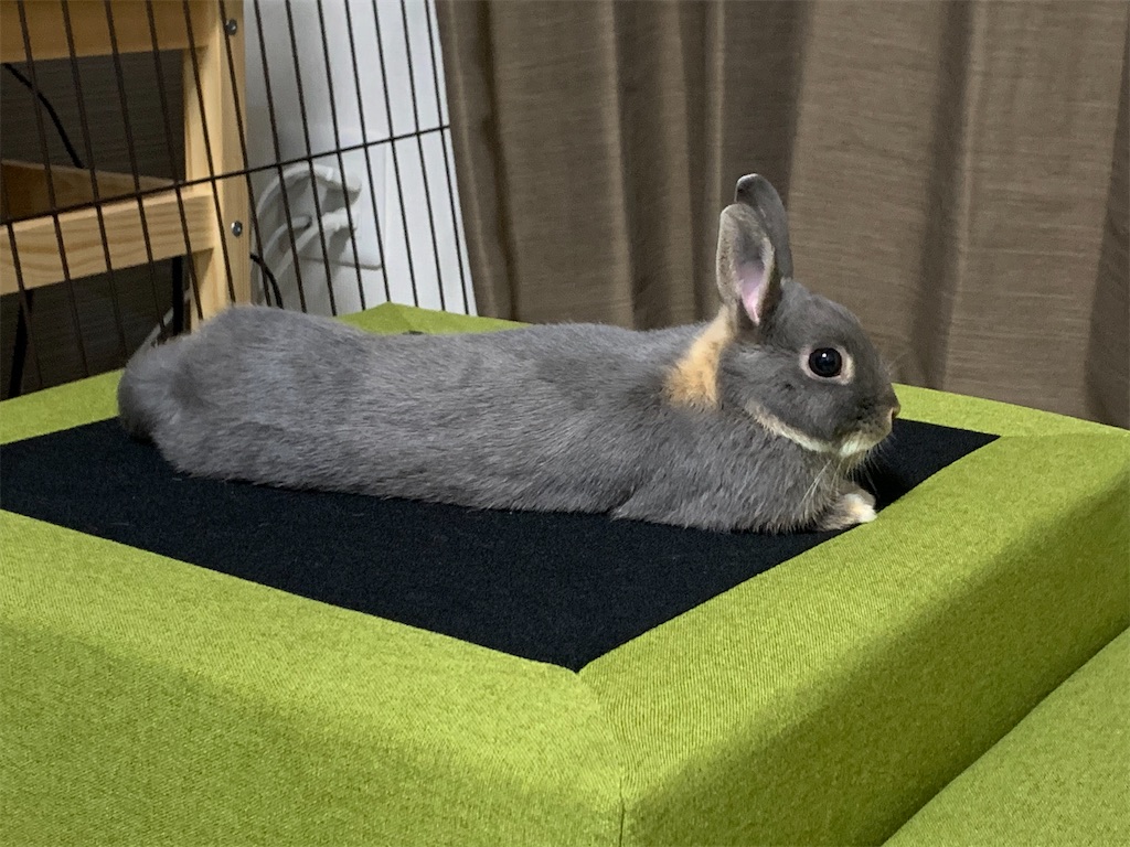 f:id:tuberculin:20200330013604j:image