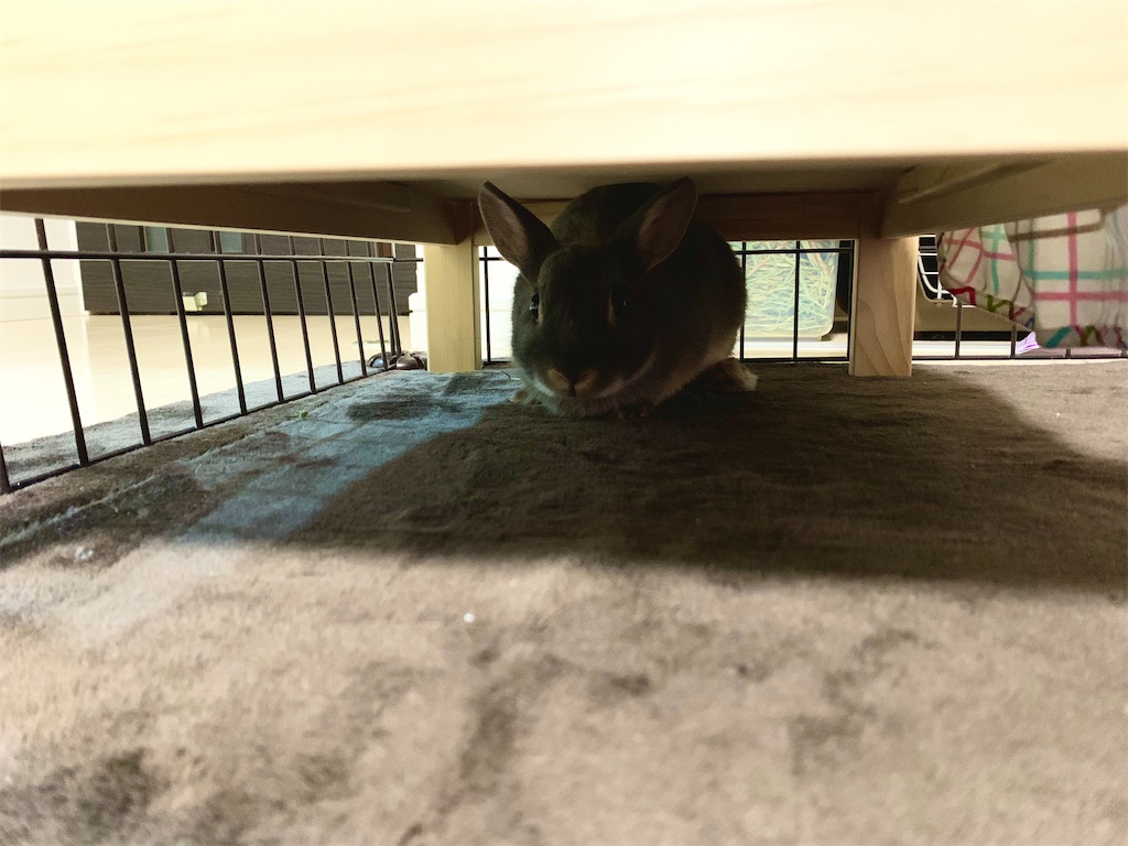 f:id:tuberculin:20200330013607j:image