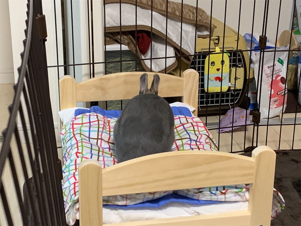 f:id:tuberculin:20200330013612j:image