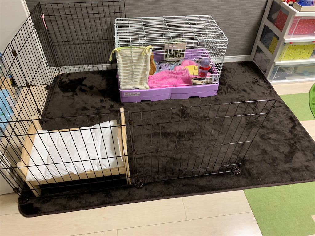 f:id:tuberculin:20200422224733j:image