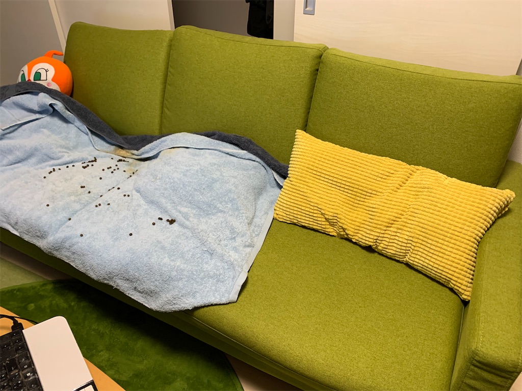 f:id:tuberculin:20200422224839j:image