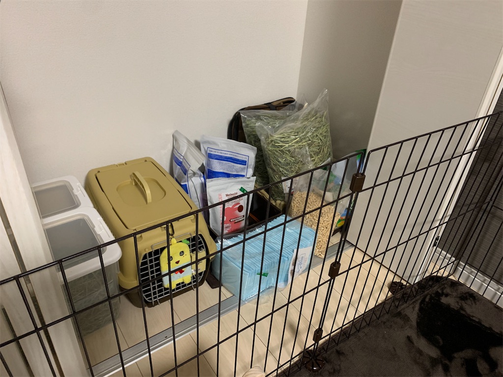 f:id:tuberculin:20200422230622j:image