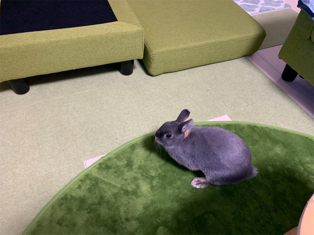 f:id:tuberculin:20200422232732j:image