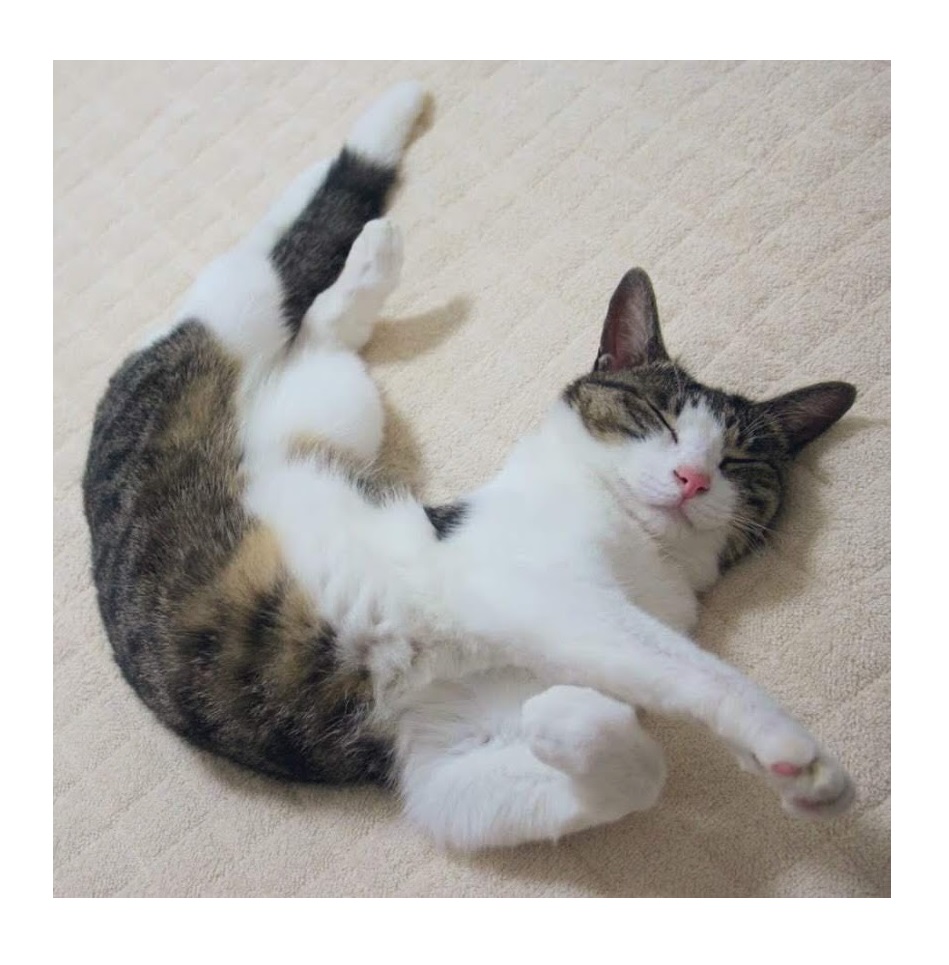 f:id:tuberculin:20200426112845j:plain f:id:tuberculin:20200426112845j:plain