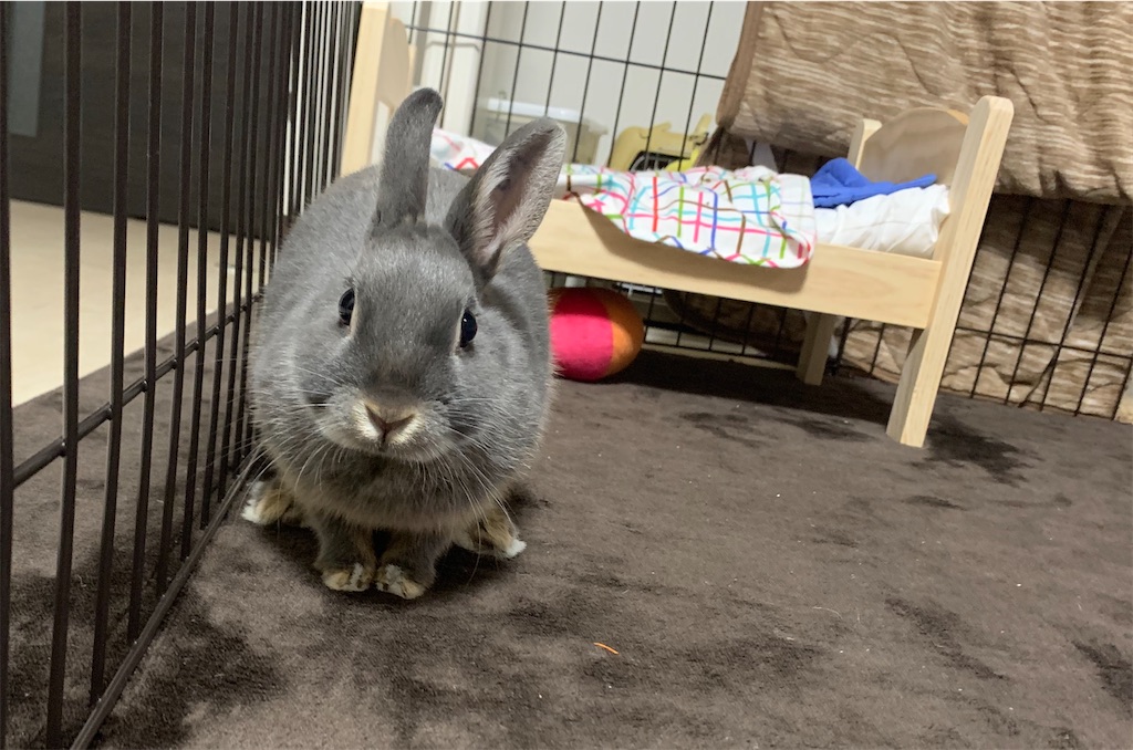 f:id:tuberculin:20200515213840j:image