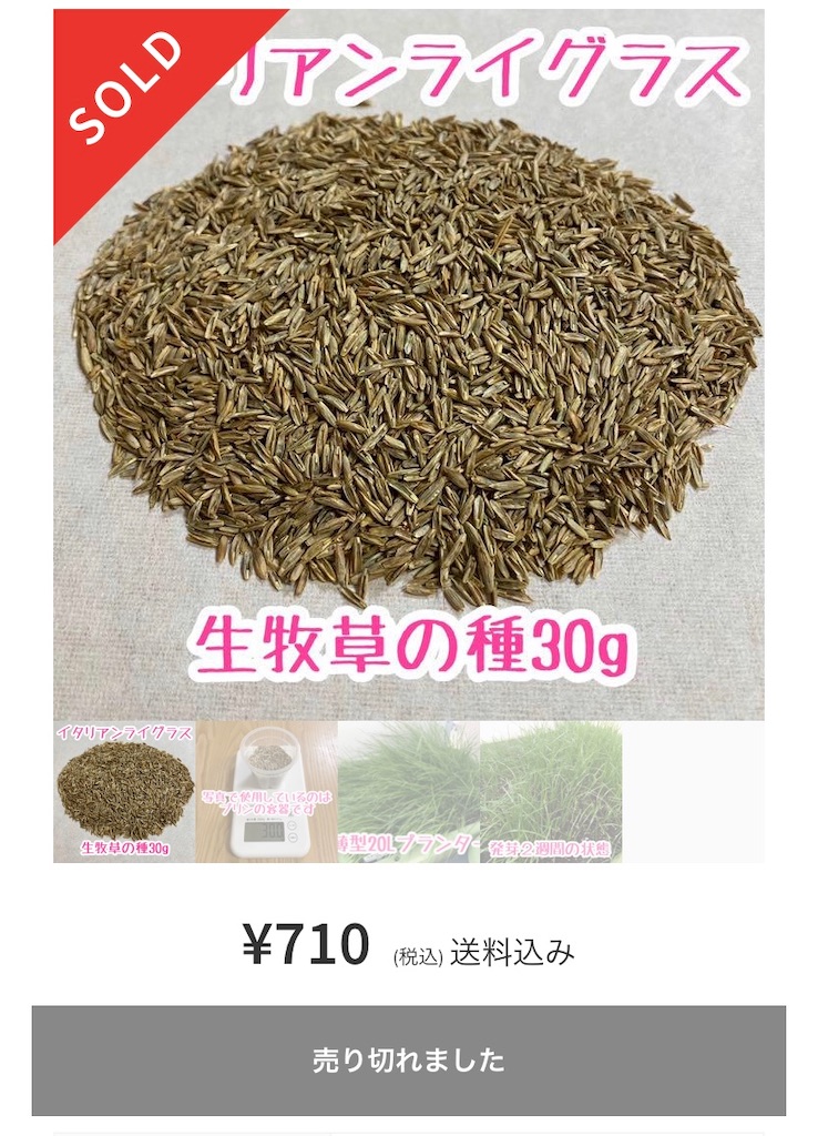 f:id:tuberculin:20200705235046j:image