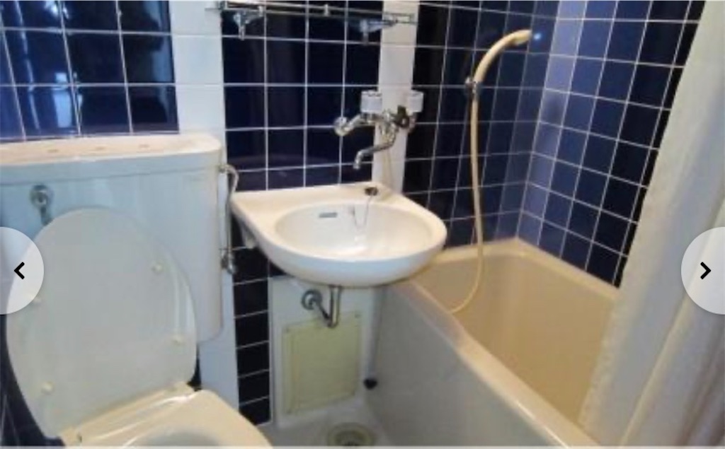 f:id:tuberculin:20200713212843j:image