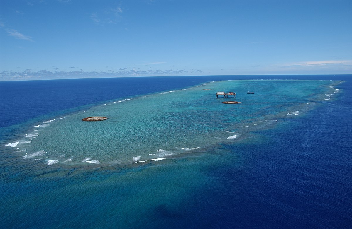 f:id:tuberculin:20200802115422j:plain