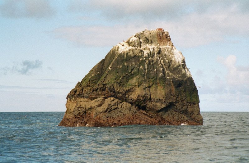 f:id:tuberculin:20200802115709j:plain