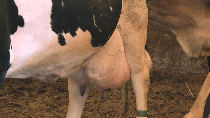 f:id:tuberculin:20201227214518j:plain