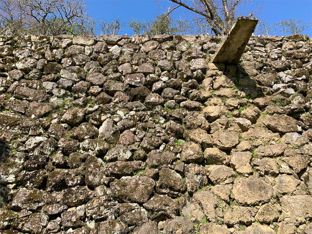 f:id:tuberculin:20210416213625j:image