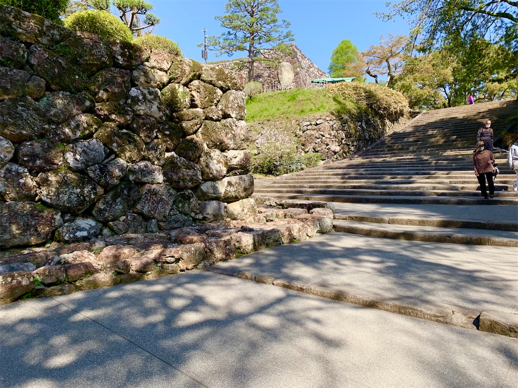 f:id:tuberculin:20210416213636j:image