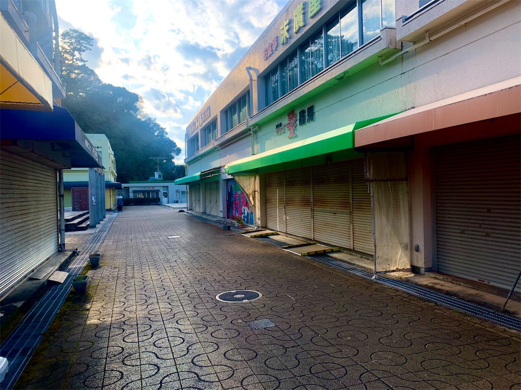 f:id:tuberculin:20210417234714j:image