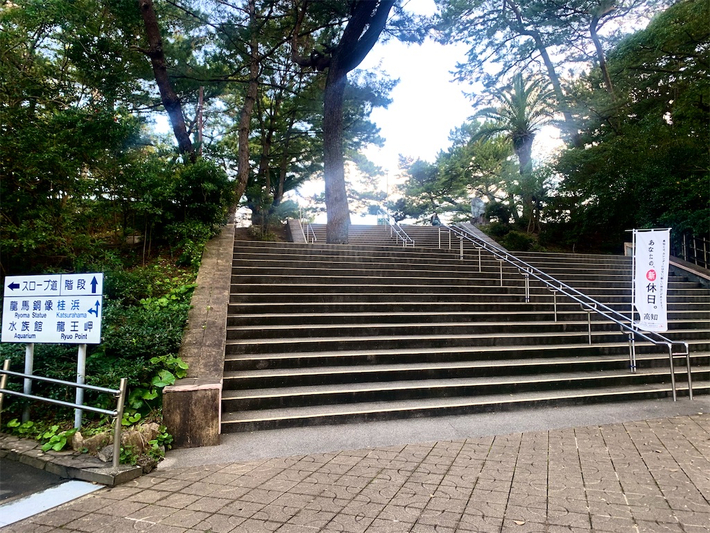 f:id:tuberculin:20210417234839j:image